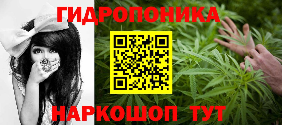 МАРИХУАНА OG Kush  Бошки марихуана Bruce Banner  Канабис гибрид  Ачхой-Мартан  Вход с VPN 