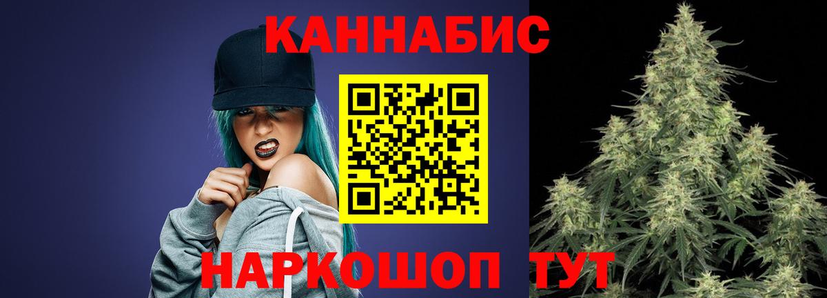 Бошки Шишки план Ачхой-Мартан